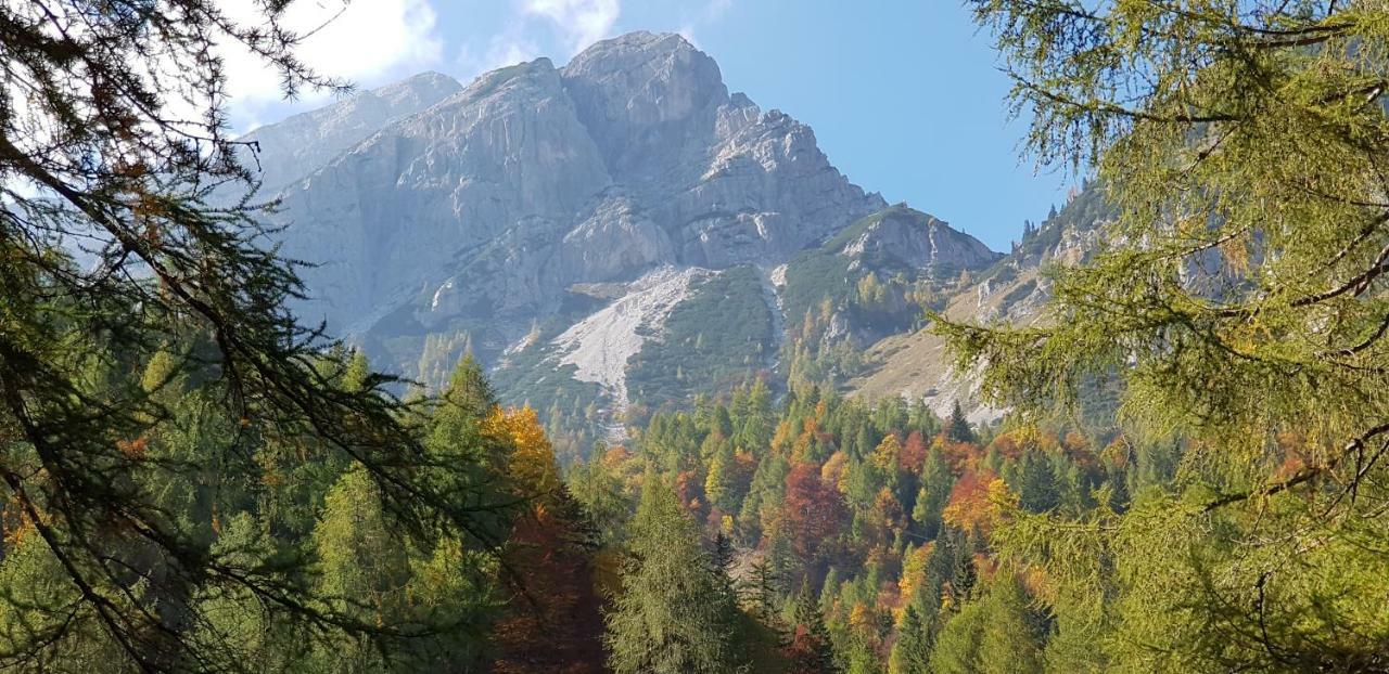 Yellow Apartma Kranjska Gora Appartement Buitenkant foto