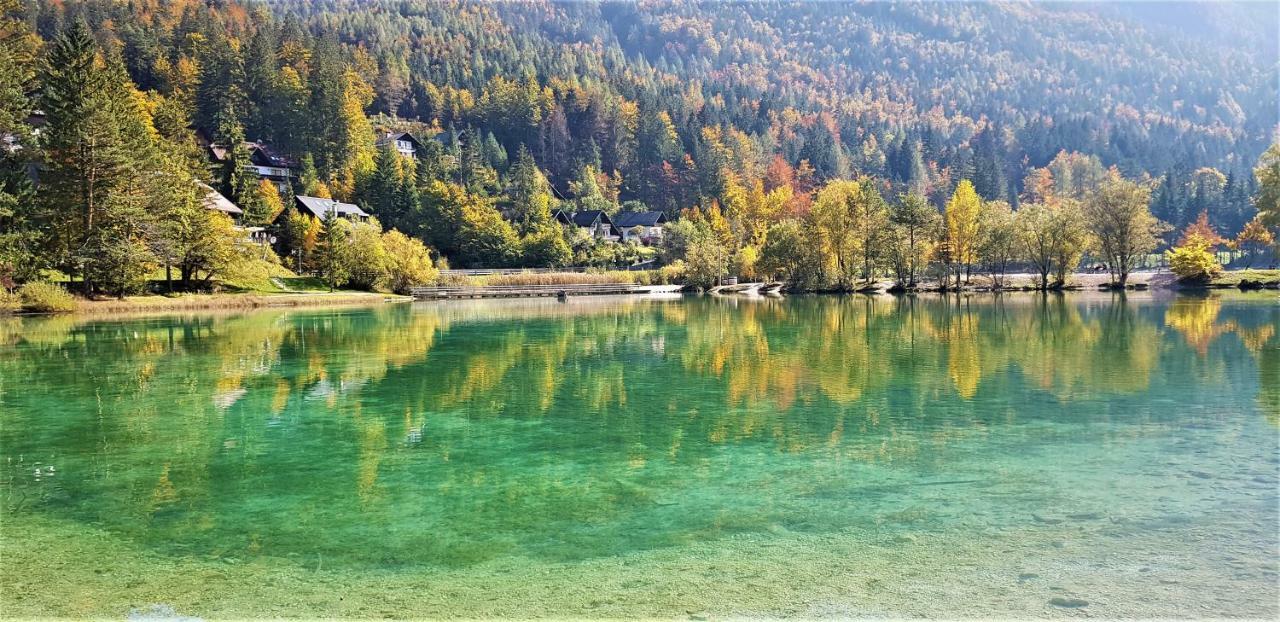 Yellow Apartma Kranjska Gora Appartement Buitenkant foto